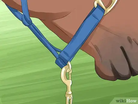 Image titled Put a Lead Rope on a Horse Step 5
