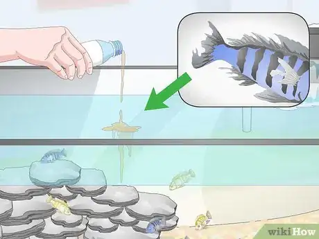 Image titled Care for Mbuna Cichlids Step 16