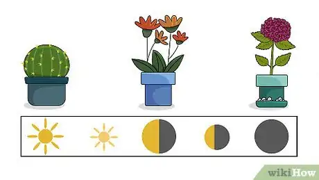 Image titled Grow Houseplants Step 12