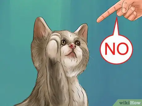 Image titled Teach a Kitten to Play Nice Step 8