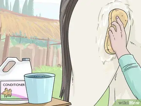 Image titled Clean a Horse Step 11