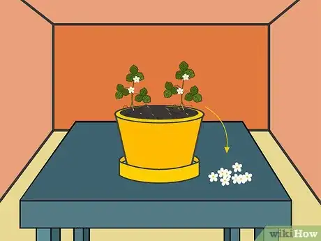 Image titled Grow Strawberries in a Pot Step 14