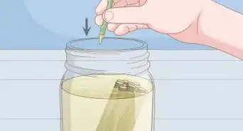 Make a Rooting Tonic