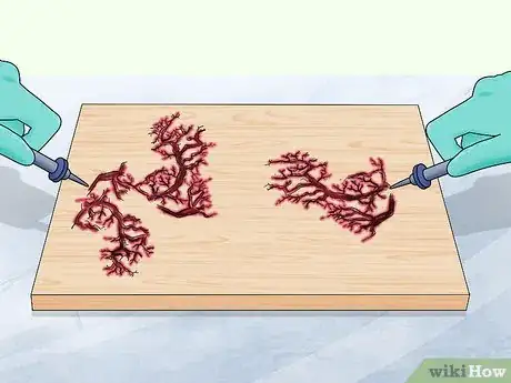 Image titled Fractal Burn Wood Step 9