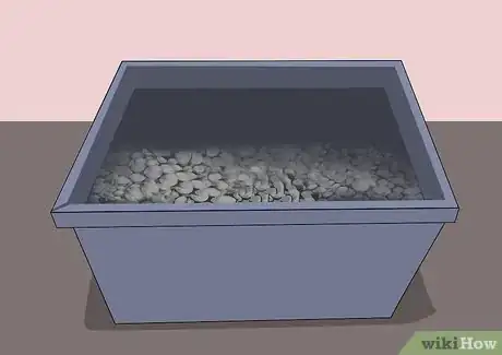 Image titled Grow and Care for Asiatic Lilies Step 8