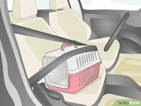 Image titled Transport a Guinea Pig Step 3