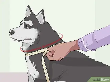 Image titled Dress Your Dog Step 1