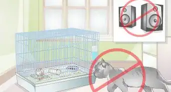 Select a Hamster Cage