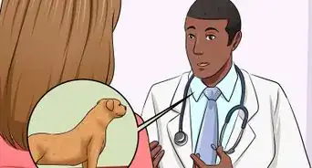 Prevent Hip Dysplasia in Dogs