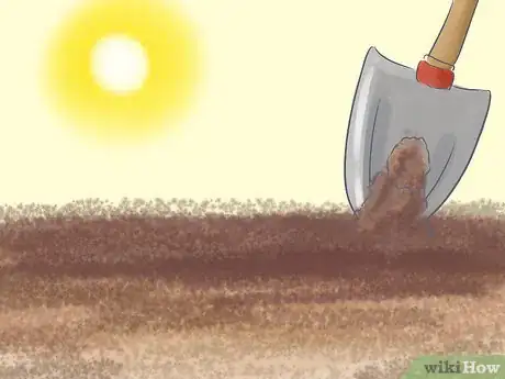 Image titled Transplant Daffodils Step 6