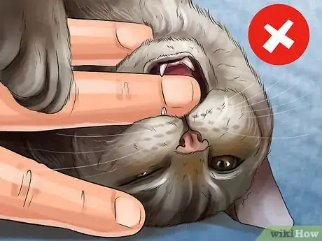 Image titled Teach a Kitten to Play Nice Step 4