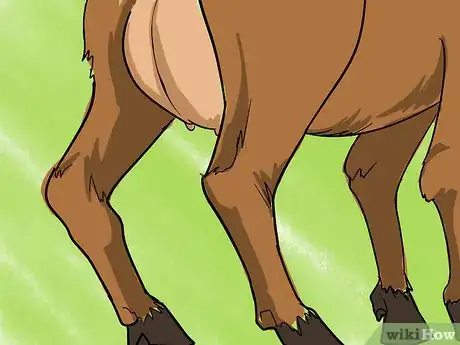 Image titled Spot a Good Milker (Goats) Step 5