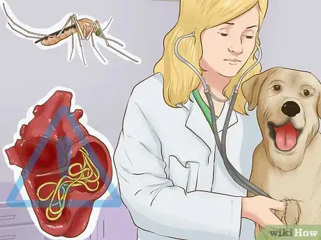Image titled Provide Preventive Veterinary Care for Your Dog Step 3