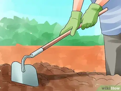 Image titled Grow Nasturtiums Step 4