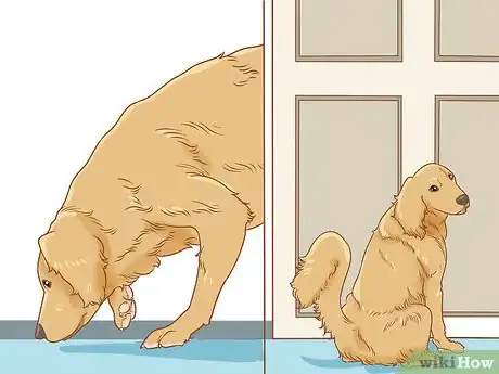 Image titled Train a Golden Retriever Step 5