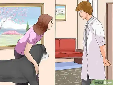 Image titled Prevent Canine Periodontal Disease Step 1