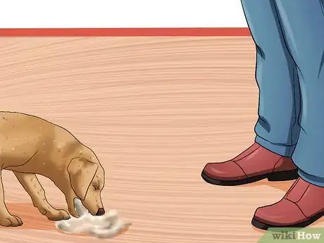 Image titled Solve Digestive Problems With Small Dogs Step 3