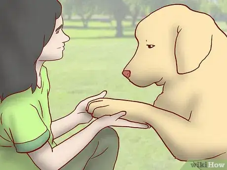 Image titled Maintain Social Skills in Older Dogs Step 10