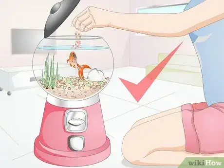 Image titled Creatively Decorate a Freshwater Fish Tank Step 3