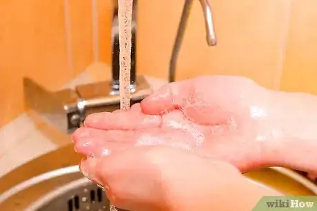 Image titled Can Sauerkraut Step 1