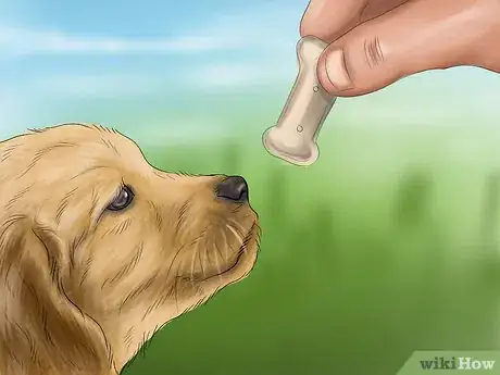 Image titled Feel Comfortable Around Big Dogs Step 9