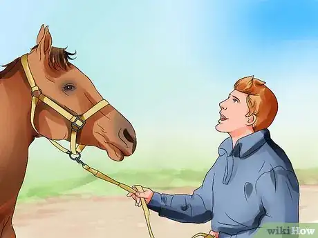 Image titled Be Comfortable Around a Bad‐Tempered Horse Step 5
