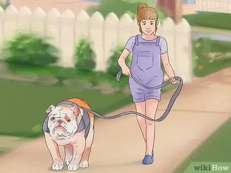 Image titled Get Used to a New Dog Step 7