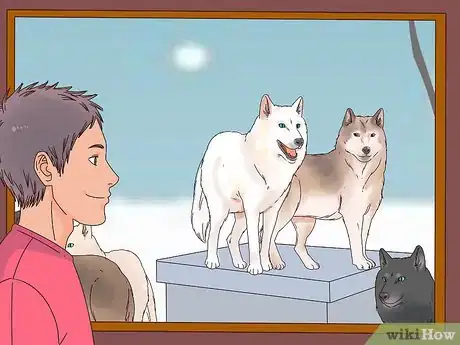 Image titled Become a Wolf Expert Step 10