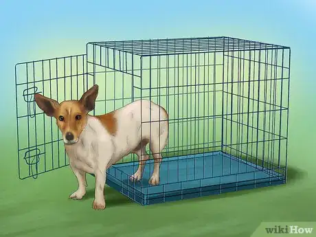 Image titled Buy a Puppy Crate Step 4