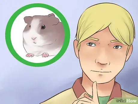 Image titled Introduce Your Guinea Pig to Floor Time Step 1