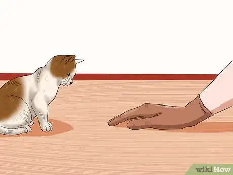 Image titled Socialise Timid Kittens Step 7