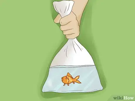 Image titled Maintain Salt Water Aquariums Step 6