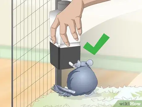 Image titled Help Your Chinchilla Adjust to its New Home Step 10