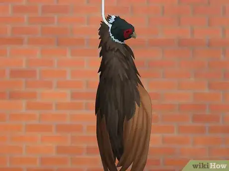 Image titled Pluck a Pheasant Step 10
