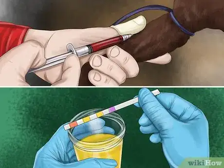 Image titled Help a Dog Suffering from Trauma Step 7