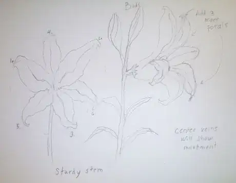 Image titled Howtodraw2