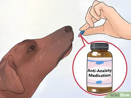 Image titled Treat Pica in Older Dogs Step 4