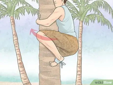 Image titled Free Climb a Tree Step 18