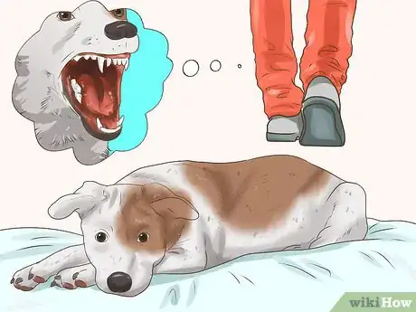 Image titled Meet Someone's New Dog Step 9