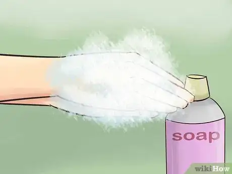 Image titled Bathe a Russian Tortoise Step 4