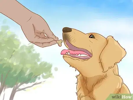 Image titled Train a Golden Retriever Step 4