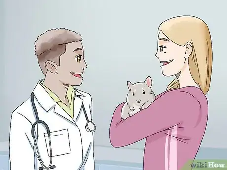 Image titled Handle Calcium Deficiency in Chinchillas Step 5