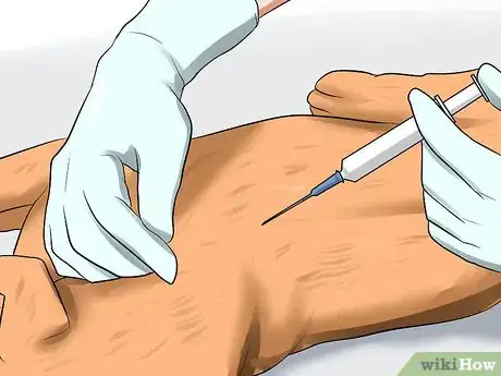 Image titled Prevent Canine Coronavirus Step 1