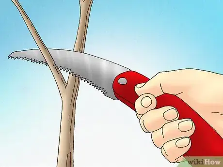 Image titled Prune a Tulip Magnolia Step 6