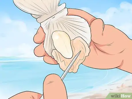 Image titled Go Scalloping Step 11
