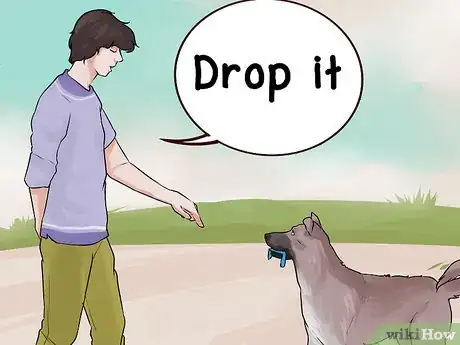 Image titled Treat Pica in Older Dogs Step 9