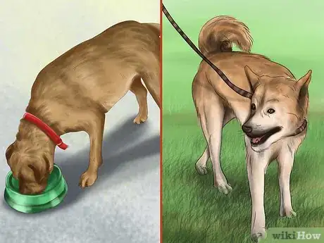 Image titled Determine Where to Get Your Dog Step 17