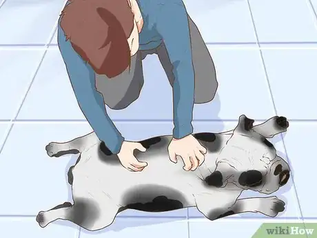 Image titled Do Yoga with Your Dog Step 2