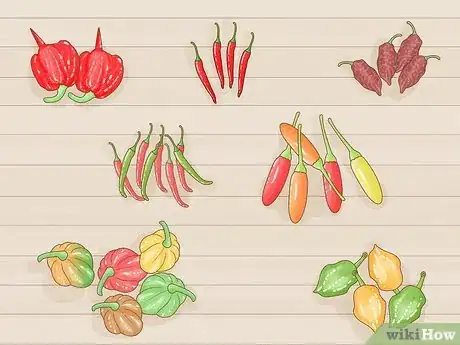 Image titled Grow Hotter Chillies Step 1