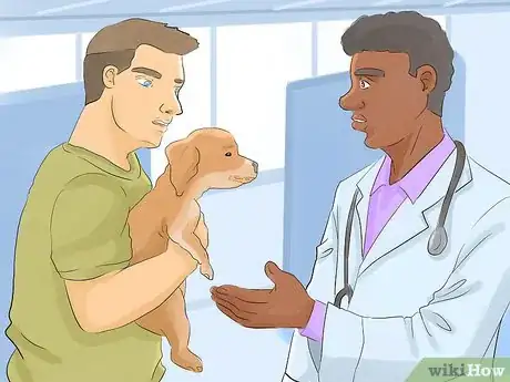Image titled Help Your Dog Live Longer Step 1